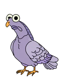 :Volutes_pigeon_: