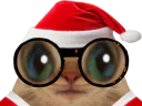 :chatlunettenoel:
