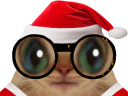 :chatlunettenoel: