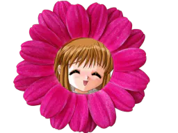 :Kanon_fleur: