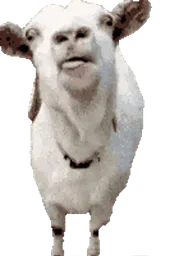 :Chevre_leche: