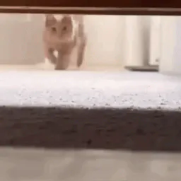 :Chat_va: