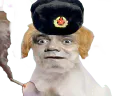 :Mockva_Chien_Bourdon: