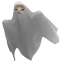 :chat_fantome2: