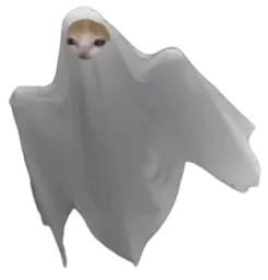 :chat_fantome2: