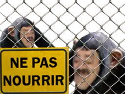 :ne_pas_nourrir: