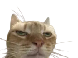 :blaser: