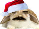 :Pinpin_De_Noel: