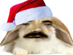 :Pinpin_De_Noel: