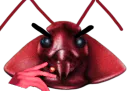 :Cafard_fumant: