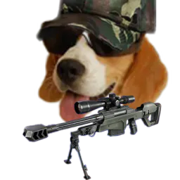 :Chien_soldat: