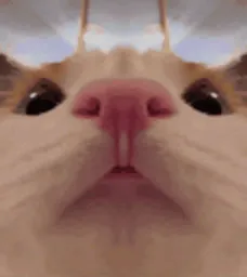 :Chat_leche_double: