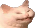 :chat_trisomix: