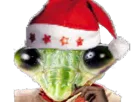 :mante_noel: