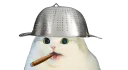 :Chatfou: