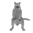 :chatquidanse: