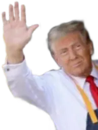 :DonaldCoucou: