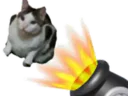 :Chatboum: