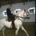 ZidaneLeCheval