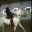 Photo de profil de ZidaneLeCheval