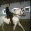 ZidaneLeCheval