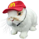 :Lapinserieux: