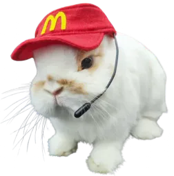 :Lapinserieux: