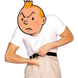 :tintinBranlette: