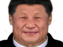 :xi_jiping_fat: