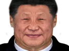 :xi_jiping_fat: