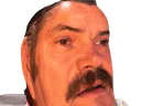 :Risichoque_gif: