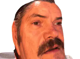 :Risichoque_gif: