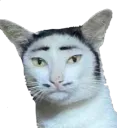 :Atarax: