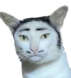 :Atarax: