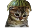 :chat39: