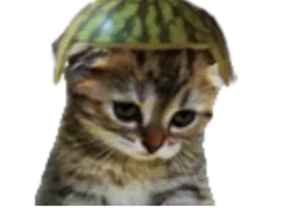 :chat39: