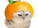 :chatbrushingorange: