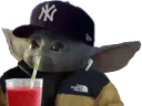 :bebe_yoda1: