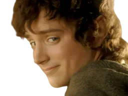 :frodon_sourire: