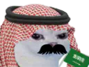 :Saudicat: