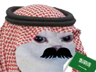 :Saudicat: