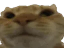:Chatnon: