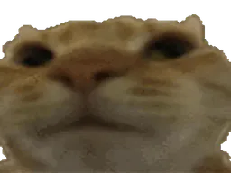 :Chatnon: