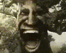:zinzo: