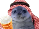 :phoqueglacesaoudien: