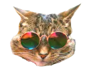 :chatreadyhd: