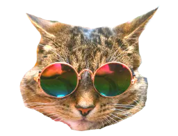 :chatreadyhd: