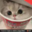 Photo de profil de PetitsFours