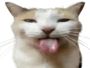 :bleh: