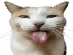 :bleh:
